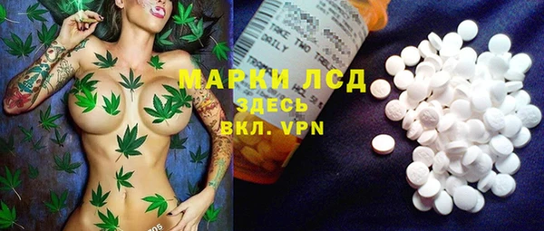 дмт Алзамай