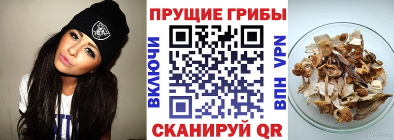 Псилоцибиновые грибы мухоморы  закладки  Краснозаводск 